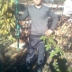 Роман Павлович (0997647179) 37 лет